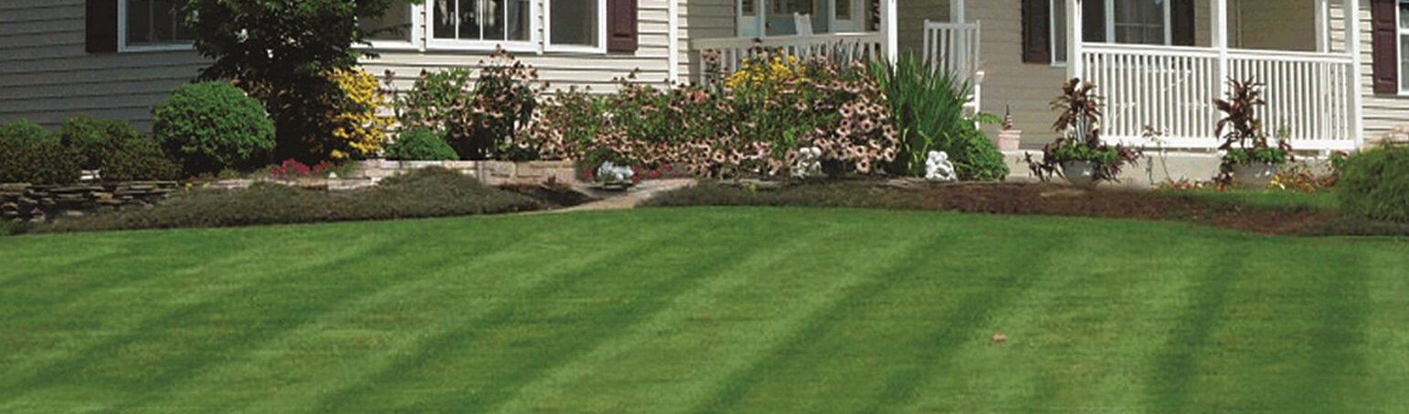 Lawn Mowing Services Penfield NY